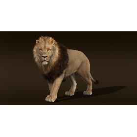 Lion 2 RIG FUR